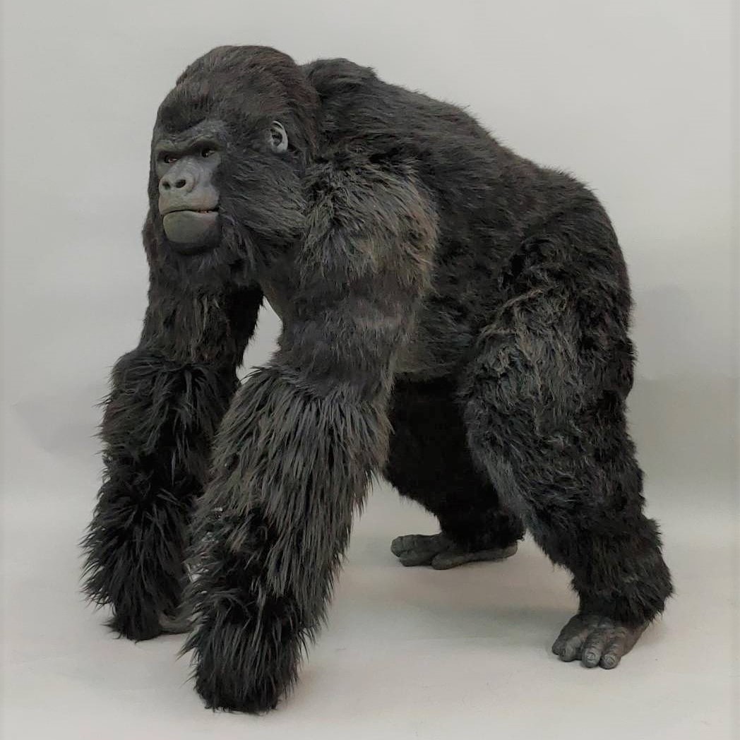 2020魔人社金剛猩猩裝製作 法國音樂劇 Noé, la force de vivre   animatronic gorilla costume 