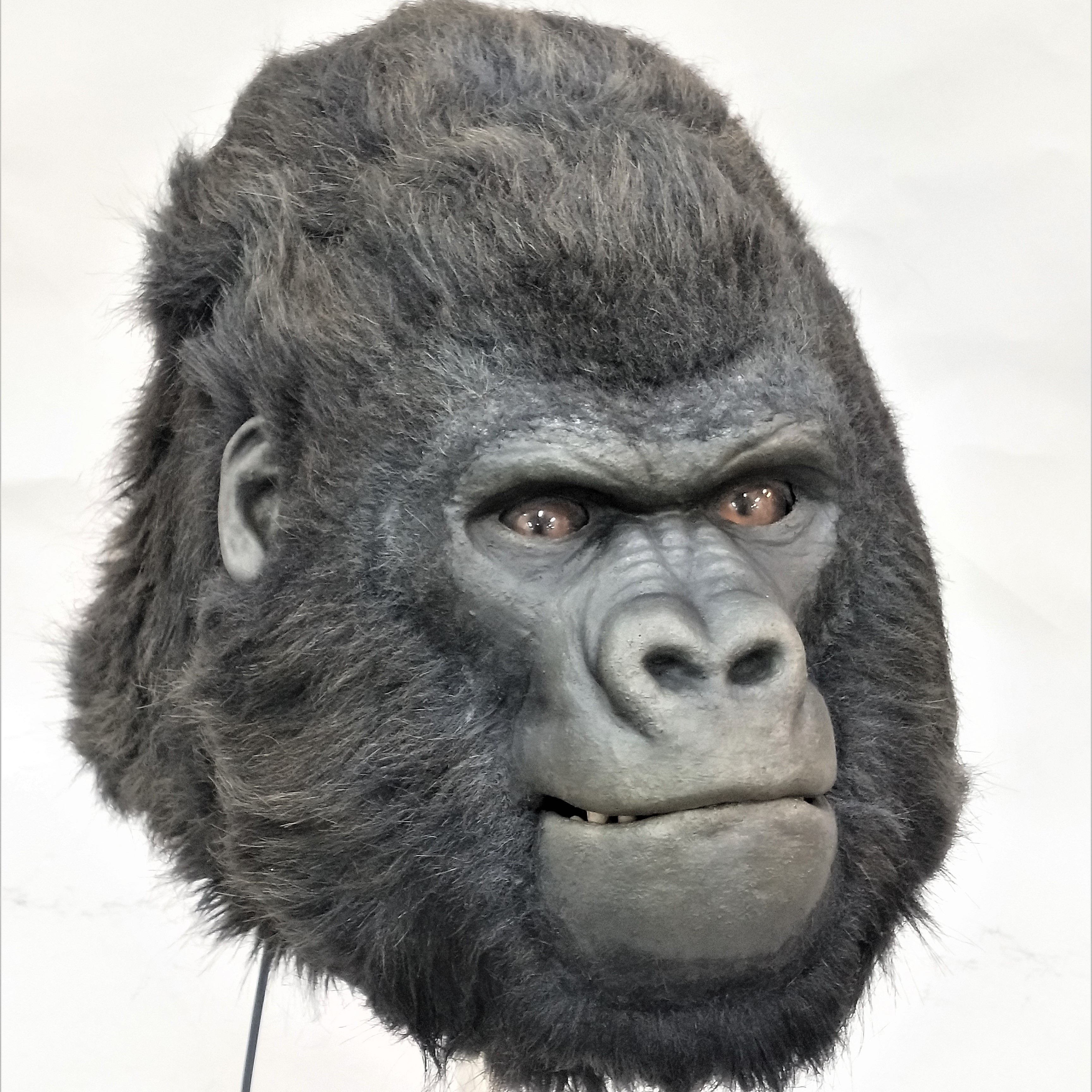 2020魔人社金剛猩猩裝猩猩面具製作 法國音樂劇 Noé, la force de vivre   animatronic gorilla mask