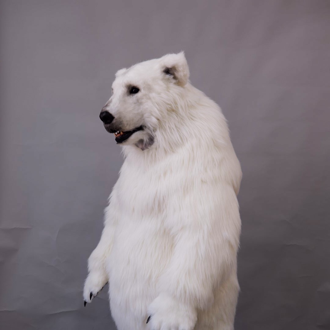 2020魔人社熊八先生北極熊裝製作Polar bear costume 