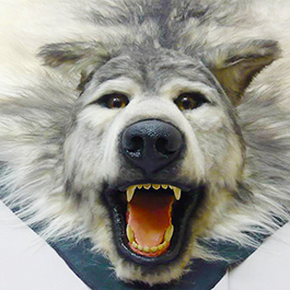 [寫實動物道具] 假狼皮標本道具 Artificial wolf specimen prop