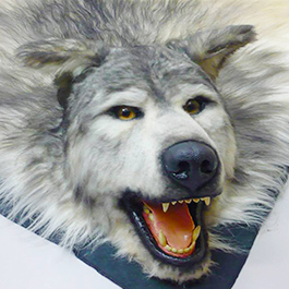 [寫實動物道具] 假狼皮標本道具 Artificial wolf specimen prop