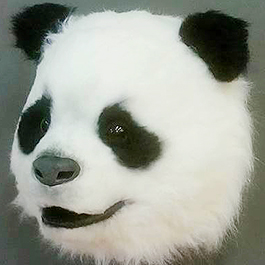 [寫實動物面具] 五月天熊貓面具Panda mask