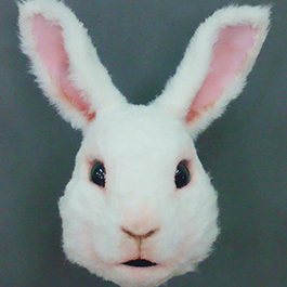 [寫實動物面具] 五月天兔子面具Rabbit mask
