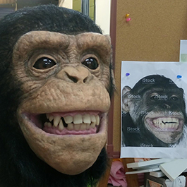 [寫實動物頭套] 魔人社黑猩猩面具製作 Chimpanzee mask