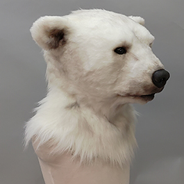 魔人社2018遙控北極熊面具 mostudio animatronic polar bear mask