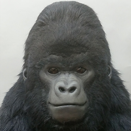 2018魔人社寫實銀背猩猩人偶裝 2018 silverback gorilla suit