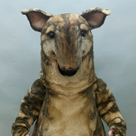 2018魔人社紙風車劇團中美貘人偶裝 Baird's tapir suit