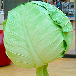 高麗菜特殊服裝 Vegetable costume (廣告 Commercial) 特殊造型服裝 Special costumes