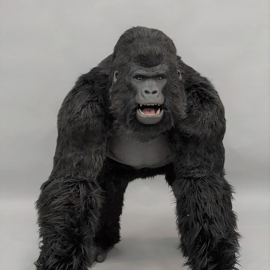 2020魔人社金剛猩猩裝製作 法國音樂劇 Noé, la force de vivre   animatronic gorilla costume