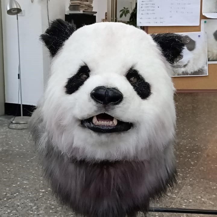 2020魔人社 法國音樂劇 Noé, la force de vivre 寫實貓熊機械人偶裝製作 animatronic panda costume