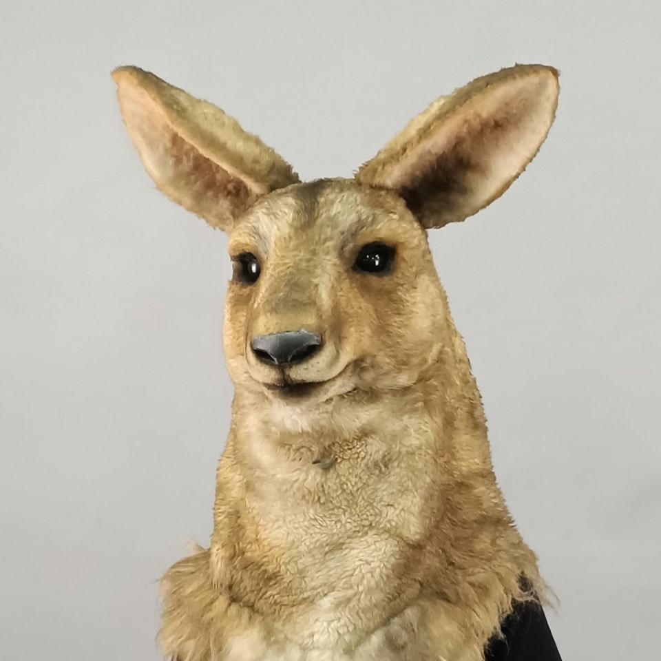 2021魔人社法國音樂劇 Noé, la force de vivre 袋鼠人偶裝 animatronic life-size kangaroo costume puppet