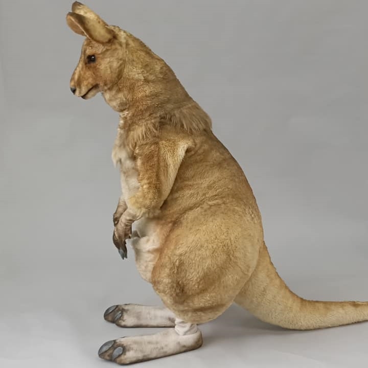 2021魔人社法國音樂劇 Noé, la force de vivre 袋鼠人偶裝 animatronic life-size kangaroo costume puppet
