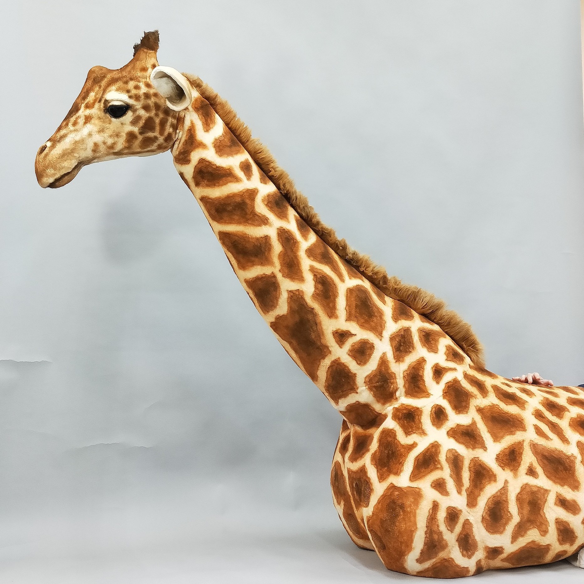 2020魔人社 法國音樂劇 Noé, la force de vivre 長頸鹿人偶裝製作 animatronic life-size giraffe costume puppet