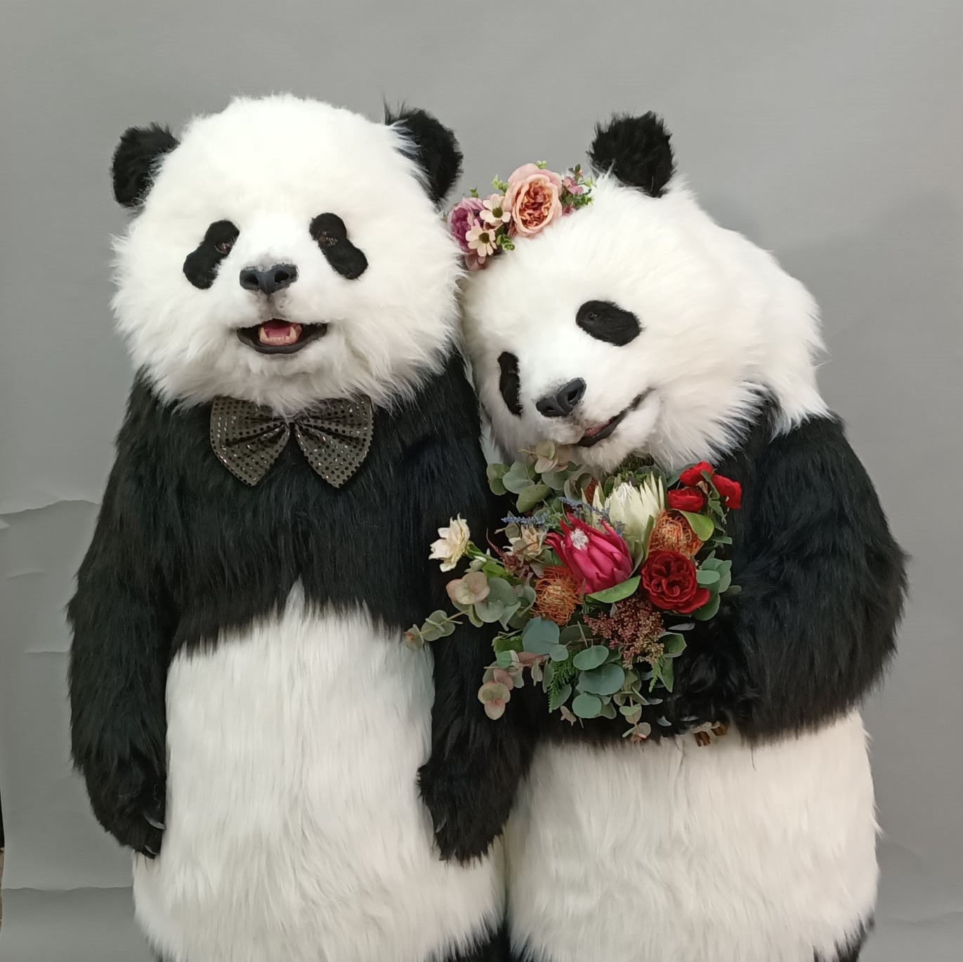 魔人社2020 HOLA熊貓人偶裝製作 animatronic panda costume