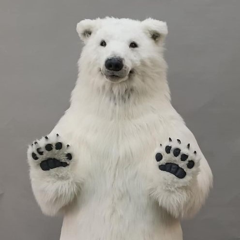 2021魔人社北極熊裝人偶裝製作 Polar bear costume